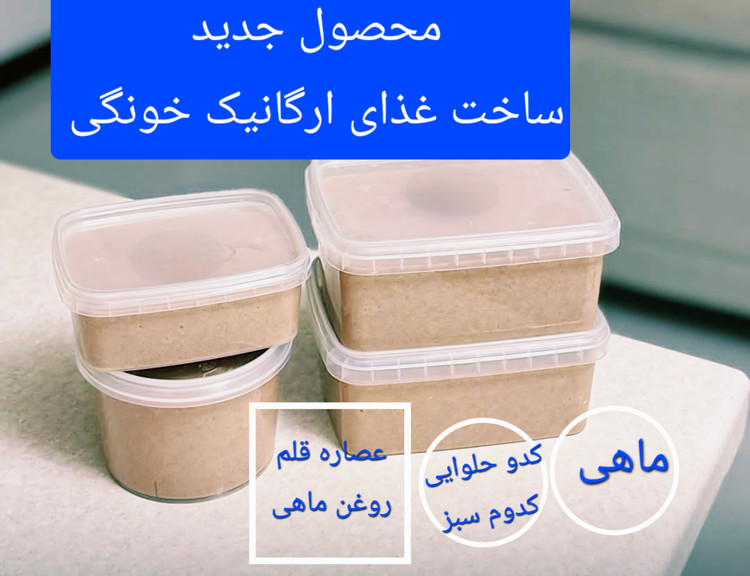 غذای ارگانیک خونگی